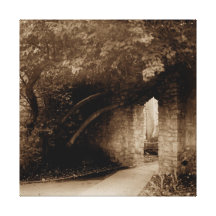 The Cathedral Canvas Canvas Prints