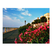 The Charleston Battery Post Card