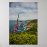 The Cornish Coast Posters