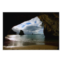 The Cove Art Photo