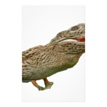 The Crocoduck Customized Stationery