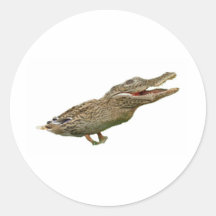 The Crocoduck Round Stickers