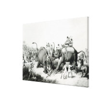 The Dead Tiger Canvas Print