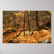 The end of fall posters
