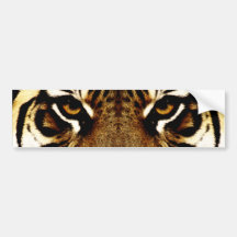 The Eyes of a Tiger Bumper Sticker