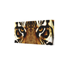 The Eyes of a Tiger Gallery Wrap Canvas