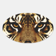 The Eyes of a Tiger Oval Sticker