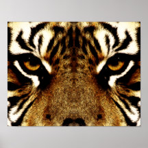 The Eyes of a Tiger Print