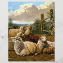 The faithful shepherds full color flyer