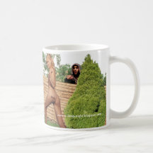 The Fence Mugs