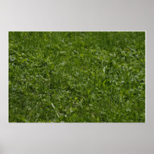 The fields print