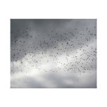 The Flock - Canvas Gallery Wrap Canvas