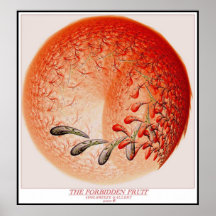 THE FORBIDDEN FRUIT POSTERS