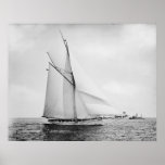 The Galatea Print