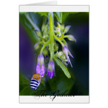 The Gatherer Greeting Cards