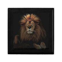 The golden lion jewelry box