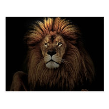 The golden lion postcards