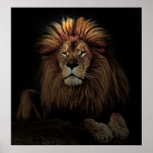 The golden lion print