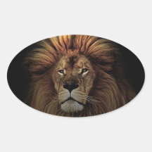 The golden lion sticker
