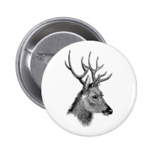 The great deer buck pinback button
