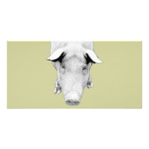 The Hog in Black and White Customized Photo Card