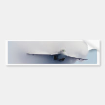 The Hornet Bumper Sticker
