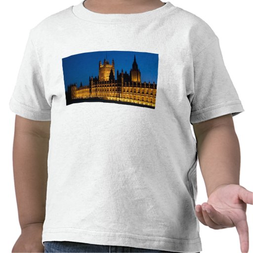 The Houses of Parliament at night in the city of T Shirts