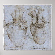 The Human Heart, Leonardo da Vinci Posters