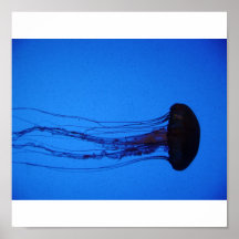 The Jellyfish Print