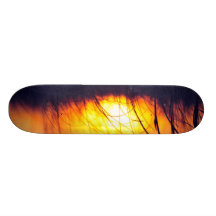 The Jersey Shore Collection Skate Decks
