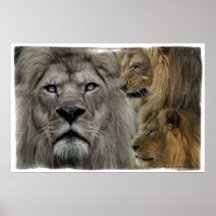 The King of the Zoo Print