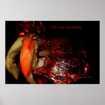 The Last Mastodon Poster