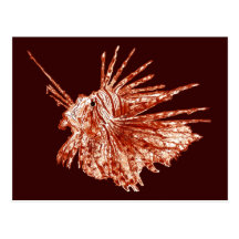 The Lionfish Post Card