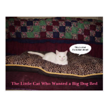 The Little Cat Who Wanted a Big Dog Bed Post Card
