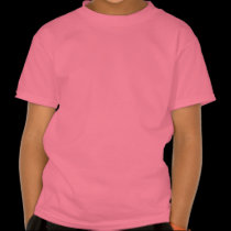 The Little Platypus and the Fire Spirit t-shirts
