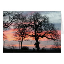 The Magic Sky Card