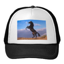The majestic black stallion hats
