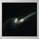 The Mice (NGC 4676)- Colliding Galaxies Posters