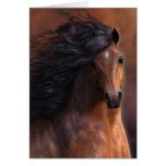 The Morgan Horse Notecard