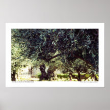 The Mount of Olives poster
