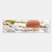 The Mushroom Family Bumper Stickers