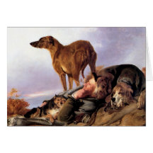 The Nap Greeting Cards