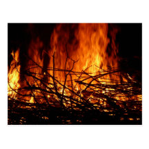 The Nest of the Fire Postcard