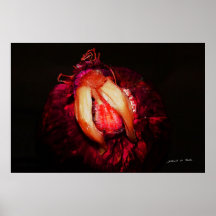 The Onion That Became A Boll Weevil Print