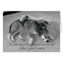 The Only Way To Have A Friend Is To Be A Friend Greeting Card