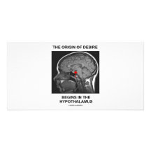 The Origin Of Desire Begins In the Hypothalamus Custom Photo Card