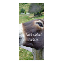 The Original Jackass Funny Donkey Mule Farm Animal Announcements