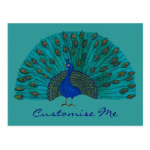 The Peacock Postcard