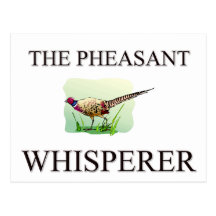 The Pheasant Whisperer Postcard