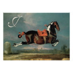 The Piebald Horse "Cehero' Rearing Monogram Invitations